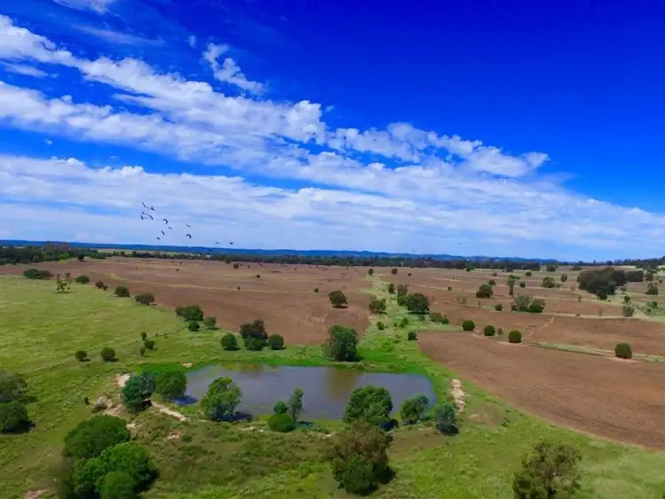 Second view of Homely rural property listing, 6805 Warialda Road, Yetman NSW 2410