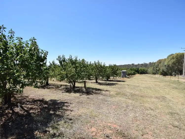 Seventh view of Homely rural property listing, 650 Monteagle Stock Route Rd Eest, Young NSW 2594