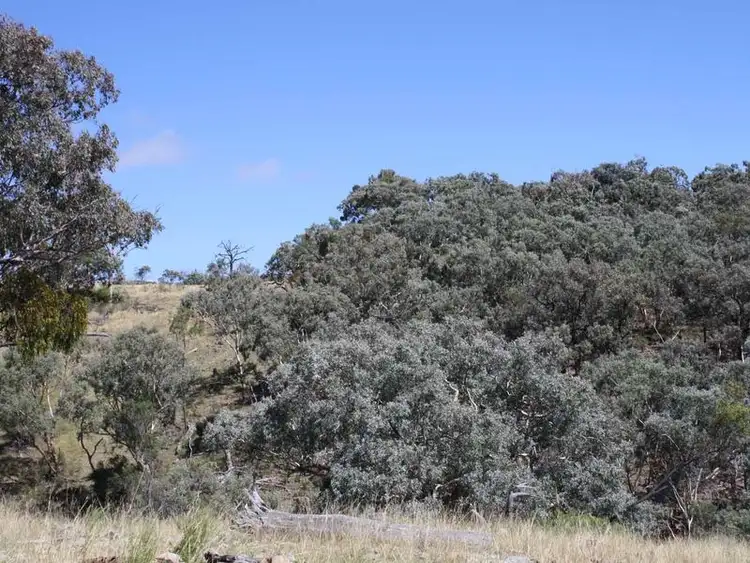 Seventh view of Homely rural property listing, 19/702965 Gulf Road, Emmaville NSW 2371