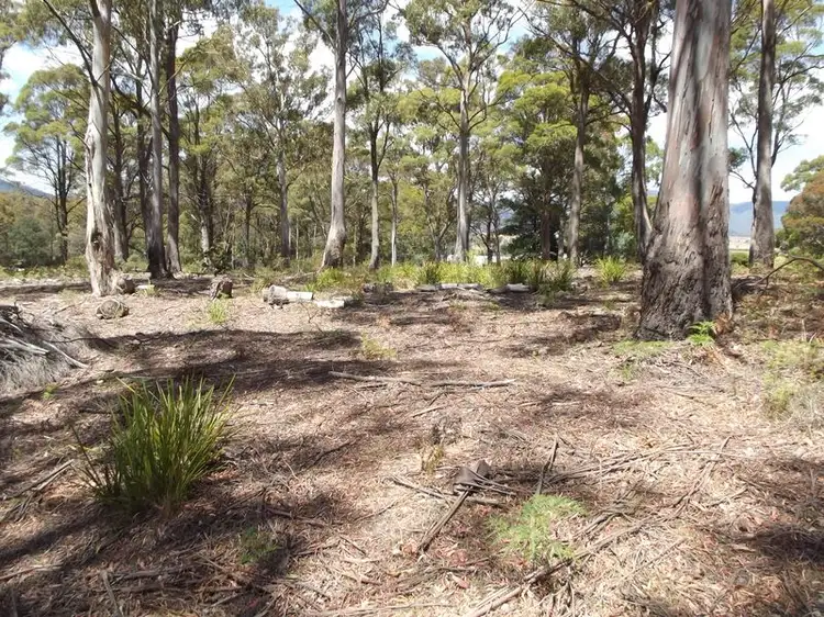 Third view of Homely land listing, 1B Cameron Street, St Marys TAS 7215
