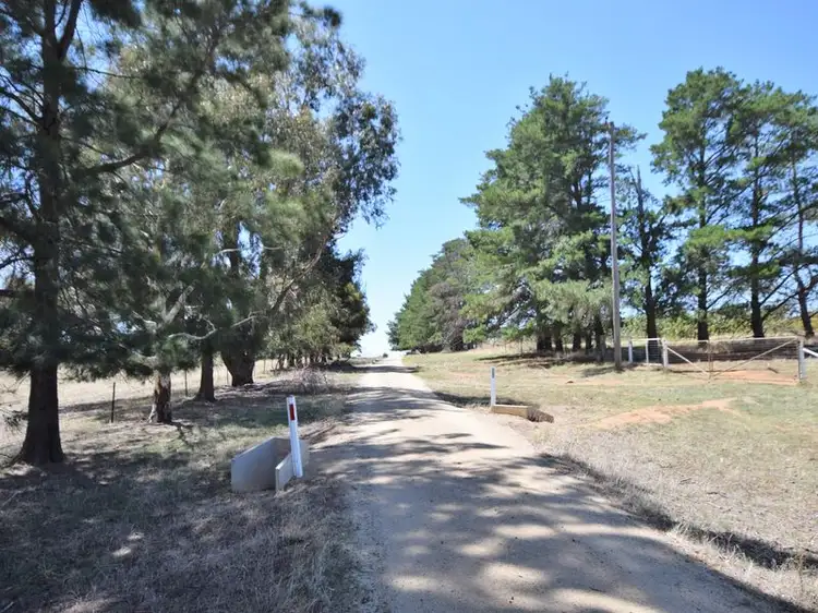 Third view of Homely rural property listing, 650 Monteagle Stock Route Rd Eest, Young NSW 2594
