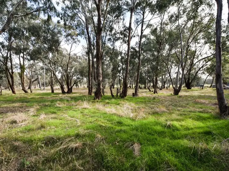 Seventh view of Homely house listing, 930 Monteagle Stock Route Rd Eest, Young NSW 2594