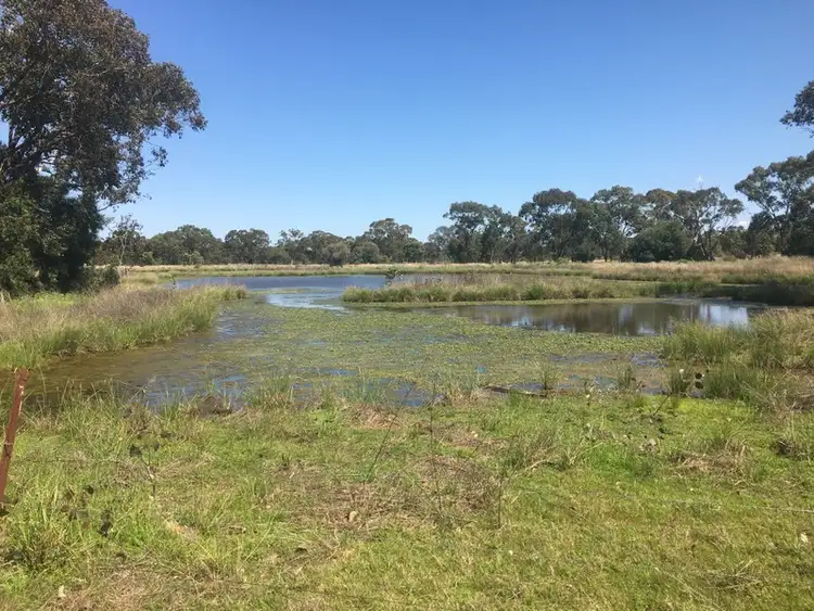 Seventh view of Homely rural property listing, 2175 Gunnawarra Road, Mitchell QLD 4465