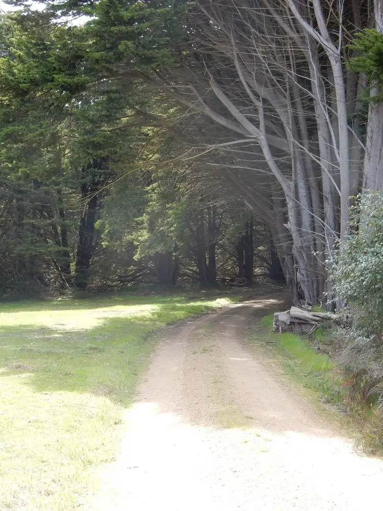 Second view of Homely house listing, 1313 Hindmarsh Tiers Rd, Hindmarsh Tiers SA 5202