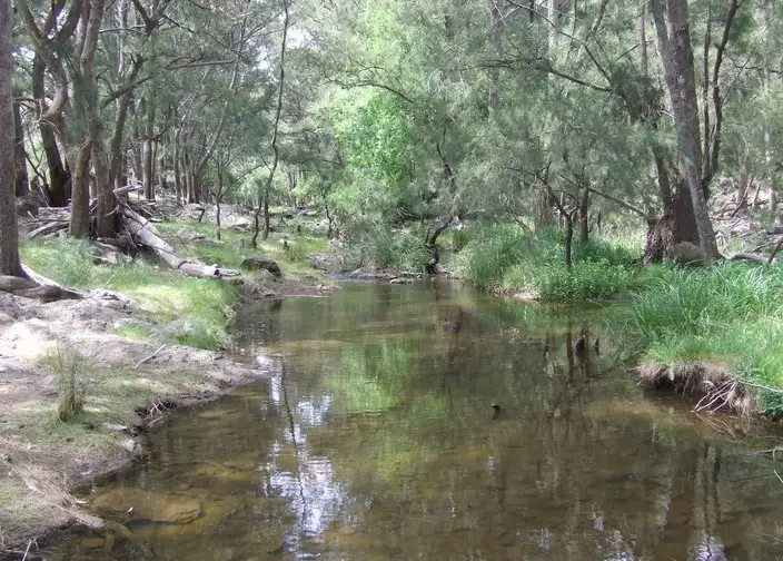 Sixth view of Homely rural property listing, Lots 11- 7 Levels Road, Golspie NSW 2580