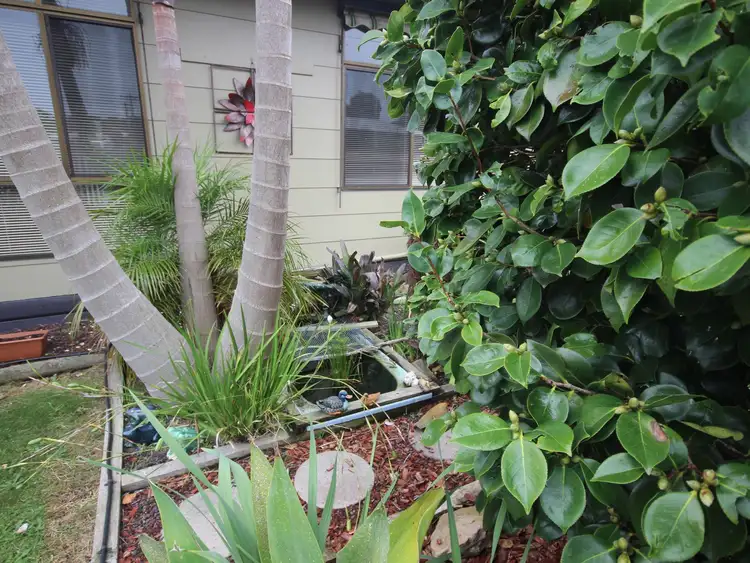 Sixth view of Homely house listing, 11 Brook Street, Wonthaggi VIC 3995