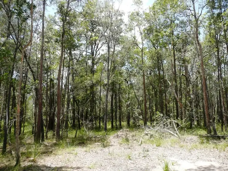Fourth view of Homely rural property listing, 0 Byfield, Byfield QLD 4703