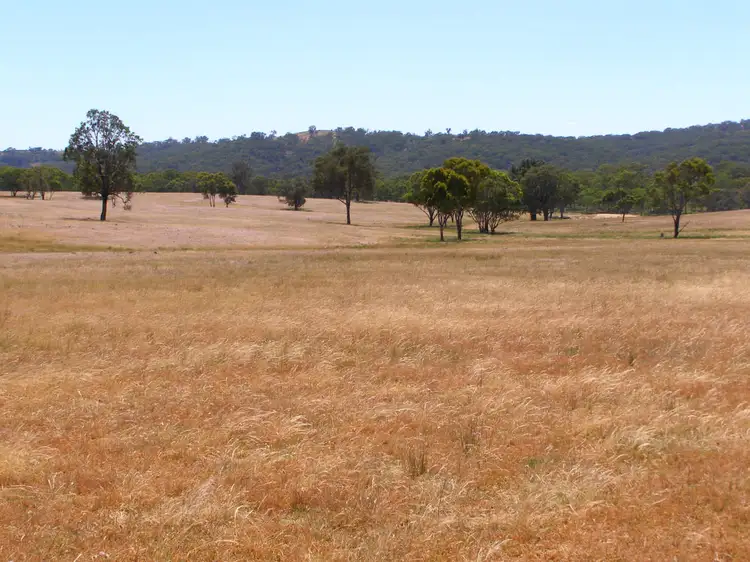 Sixth view of Homely rural property listing, 984 Bakers Creek, Bundarra NSW 2359