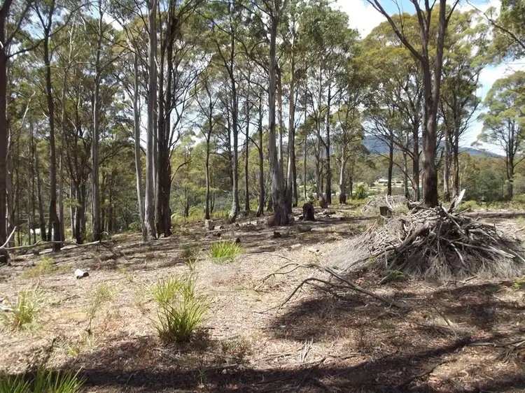 Fourth view of Homely land listing, 1B Cameron Street, St Marys TAS 7215