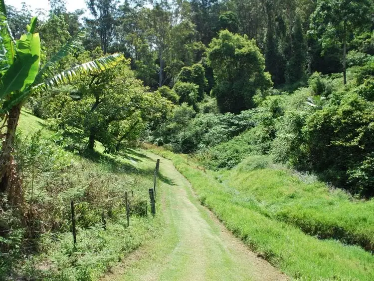 Sixth view of Homely rural property listing, 114 Bennetts Road, Coffs Harbour NSW 2450