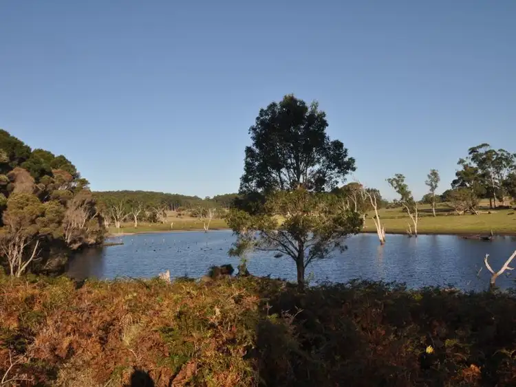 Fifth view of Homely rural property listing, Lot 8918 Tattenham Road, Northcliffe WA 6262