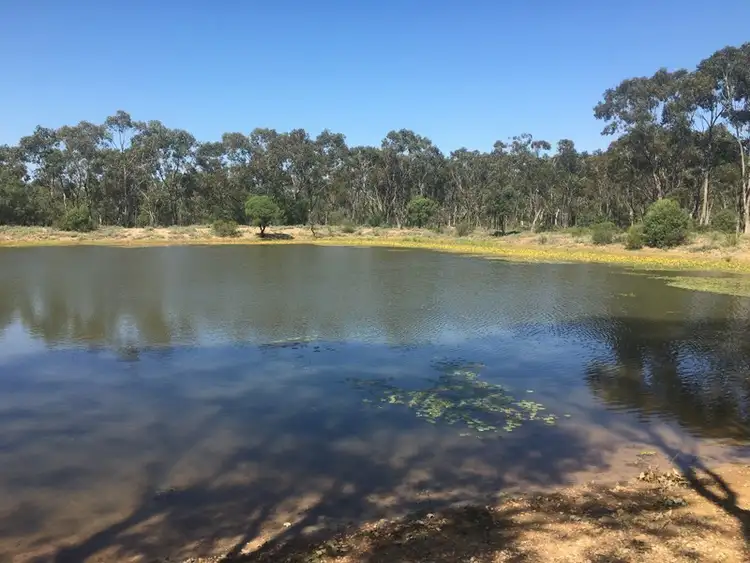 Sixth view of Homely rural property listing, 2175 Gunnawarra Road, Mitchell QLD 4465