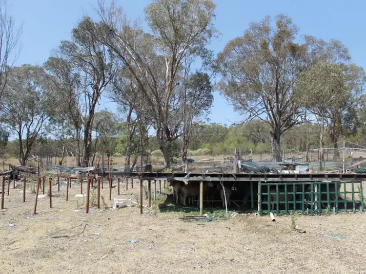 Fifth view of Homely land listing, 2137 Wellingtonvale Rd, Emmaville NSW 2371