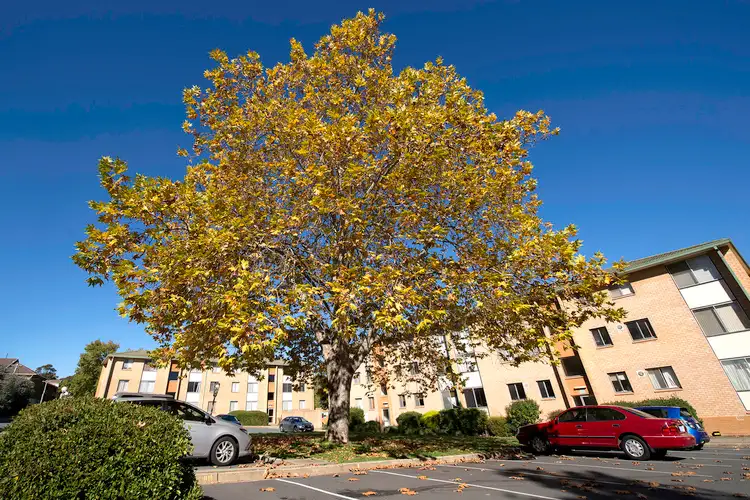 Seventh view of Homely apartment listing, 69/3 Waddell Place, Curtin ACT 2605