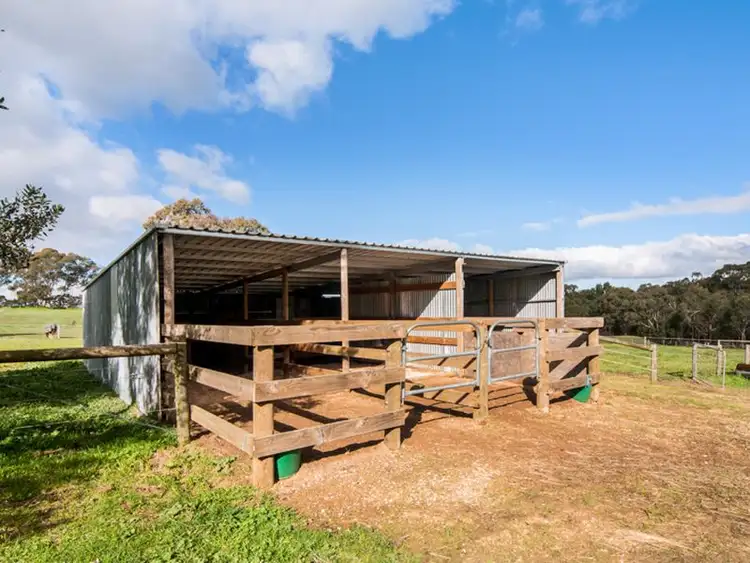 Third view of Homely house listing, 107 Bonython Road, Mount Barker SA 5251