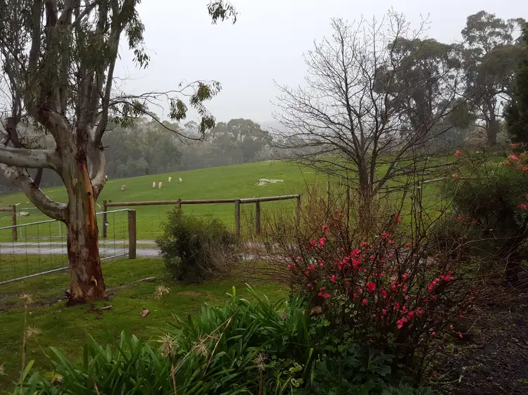 Main view of Homely house listing, 292 Bassnet Road, One Tree Hill SA 5114