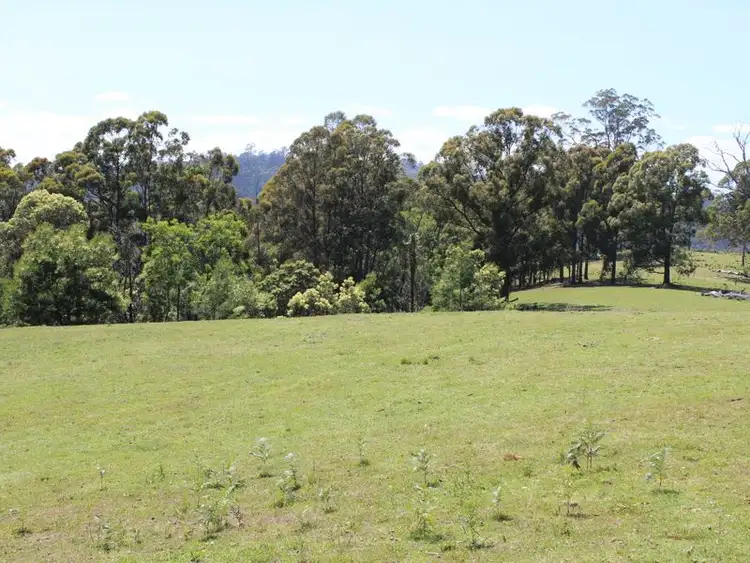 Seventh view of Homely rural property listing, 14 Waterloo Creek Road, Brogo NSW 2550