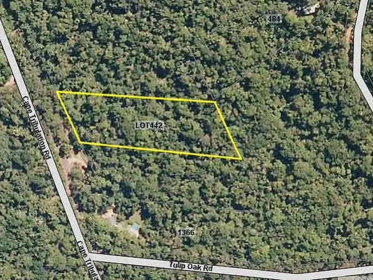 442 Cape Tribulation Road - Cow Bay, Daintree QLD 4873