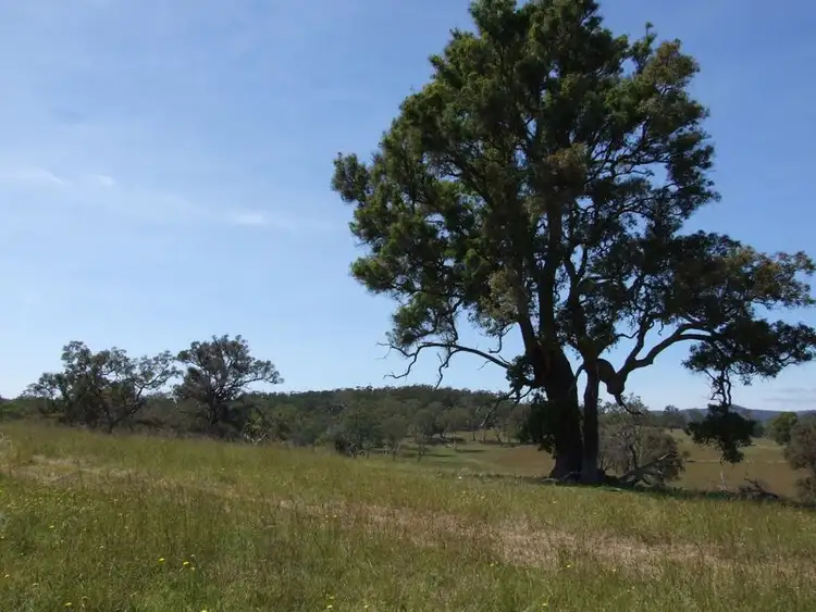 Second view of Homely land listing, Lot 18 Newlyns Estate, Bega NSW 2550