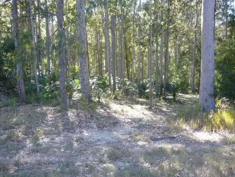 Fifth view of Homely land listing, 3488 Tathra Bermagui Road, Akolele NSW 2546
