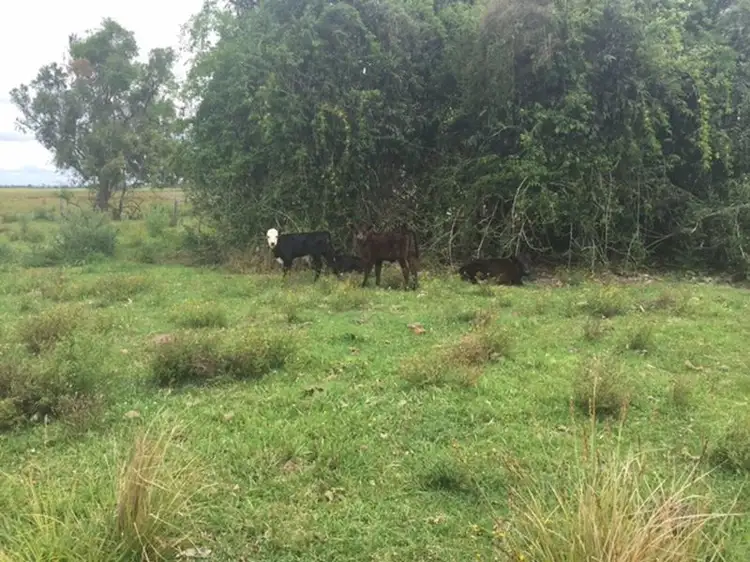 Fifth view of Homely rural property listing, 102DP838039 & 4/Lot 4 DP96 Swan Bay - New Italy Road, Woodburn NSW 2472
