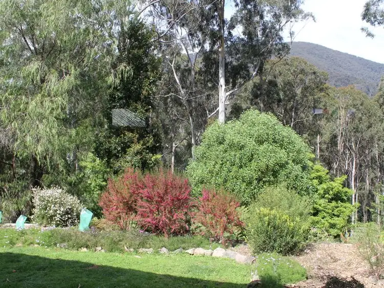 Seventh view of Homely rural property listing, 3919 Snowy Mountains Highway, Bemboka NSW 2550