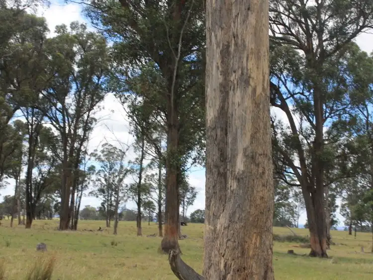 Seventh view of Homely land listing, Lot 330 Torrington Rd, Deepwater NSW 2371