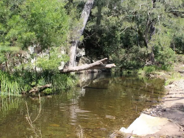 Third view of Homely rural property listing, 150 Lyrebird Ridge Road, Cobargo NSW 2550