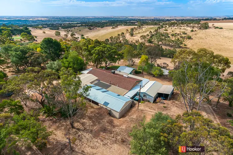 Main view of Homely house listing, 245 Alexander Avenue, Bibaringa SA 5118