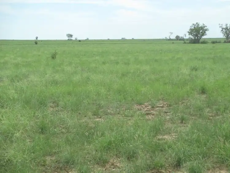 Sixth view of Homely rural property listing, Mt Abundance Road, Roma QLD 4455