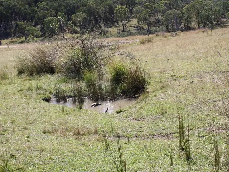Main view of Homely rural property listing, 19/702965 Gulf Road, Emmaville NSW 2371