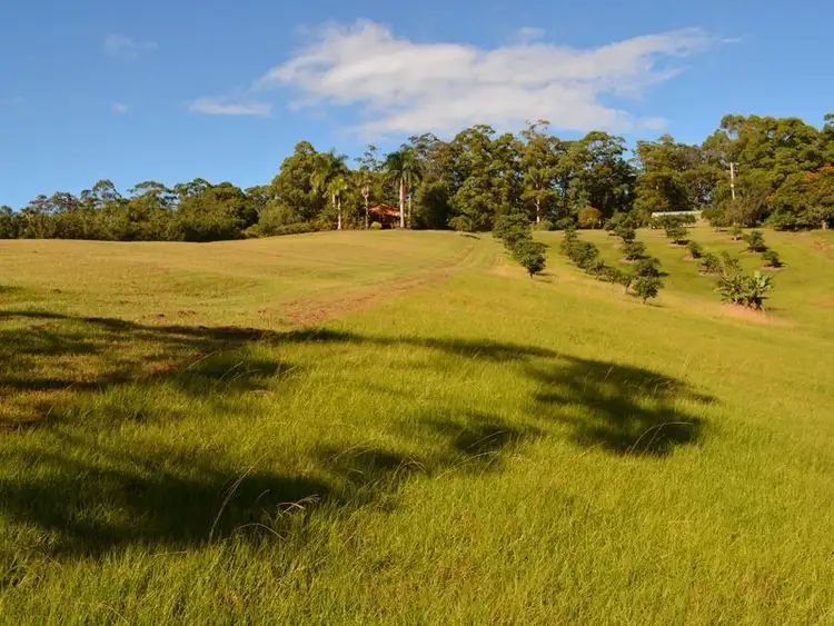 Fourth view of Homely house listing, 131 Johnsons Road, Sandy Beach NSW 2456