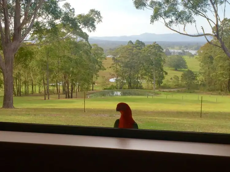 Second view of Homely house listing, 164 Factory Road, Mitchells Island NSW 2430