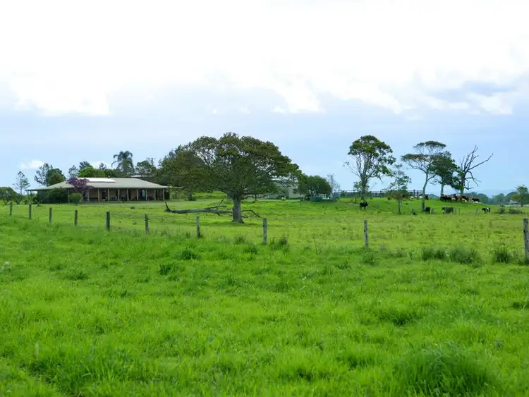 Fifth view of Homely house listing, 157 Oxley Island Road, Oxley Island NSW 2430
