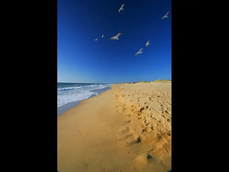 Seventh view of Homely land listing, 11 Lakeview Road, Hamel WA 6215