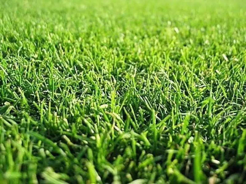 Main view of Homely land listing, 41 Halycon Bend, Beveridge VIC 3753