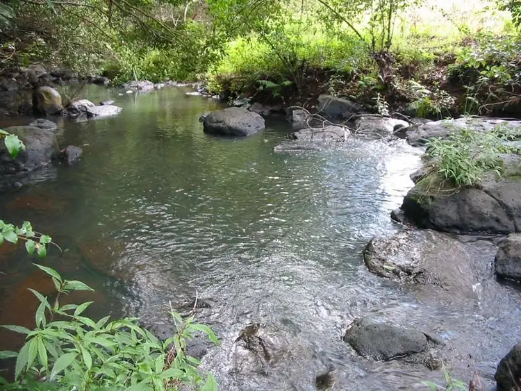 Second view of Homely rural property listing, 88 Willis Road, Tregeagle NSW 2480