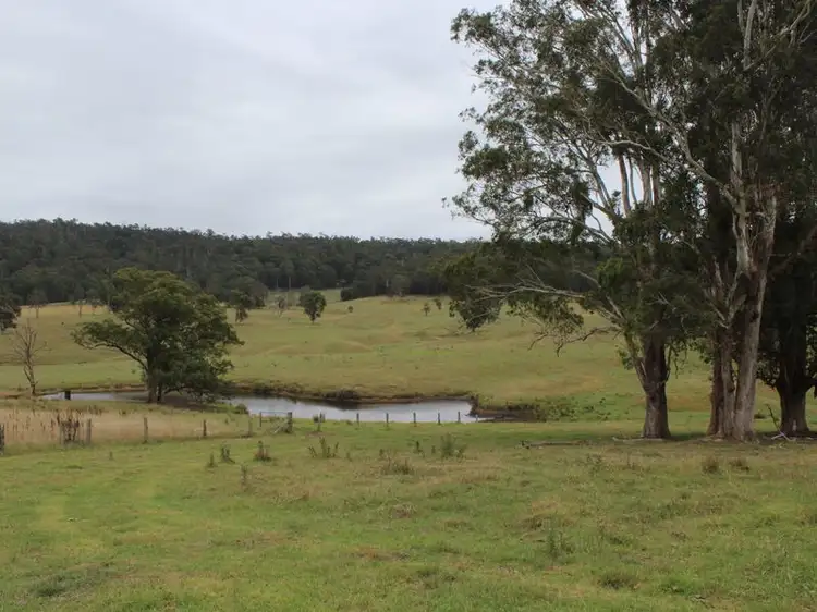 Fifth view of Homely land listing, 9914 Princes Highway, Cobargo NSW 2550