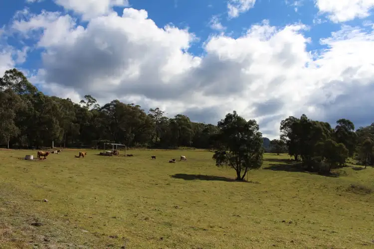 Fifth view of Homely land listing, 141 Bourkes Road, Yowrie NSW 2550