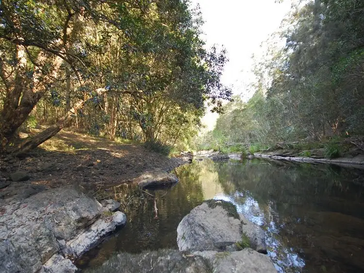 Main view of Homely rural property listing, 664 Warrawillah Road MARLEE via, Wingham NSW 2429