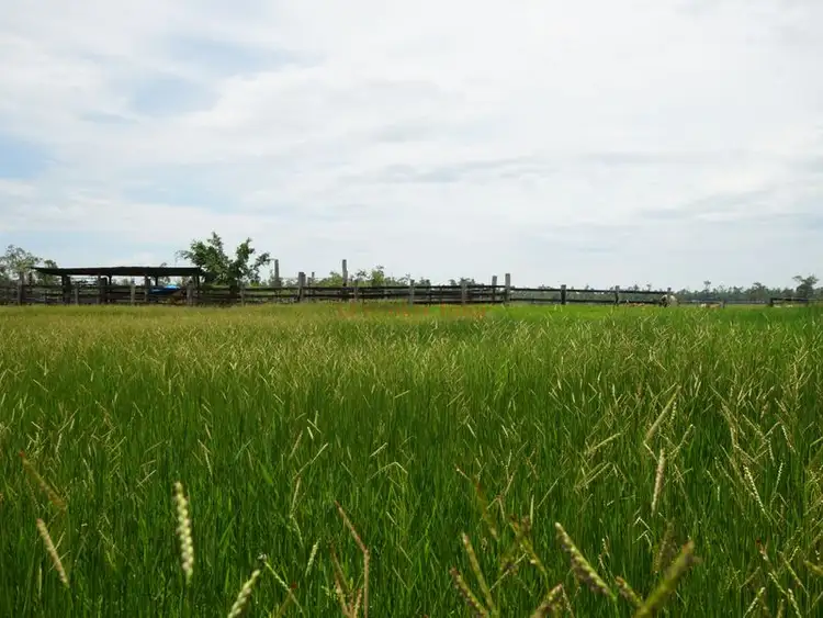 Second view of Homely rural property listing, 320 Bluff Road, Bilyana QLD 4854