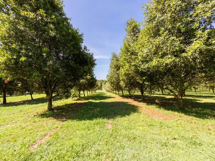 Fourth view of Homely house listing, 44 Eureka Road, Clunes NSW 2480