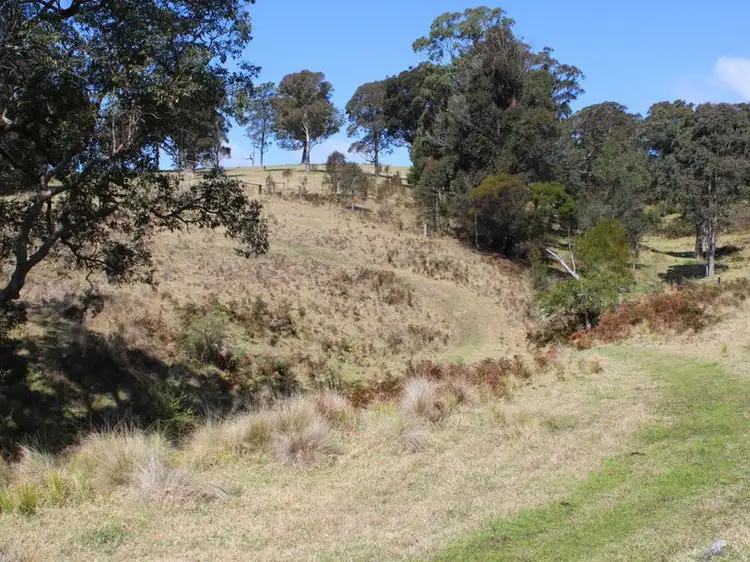 Fifth view of Homely rural property listing, 11265 Princes Highway, Cobargo NSW 2550