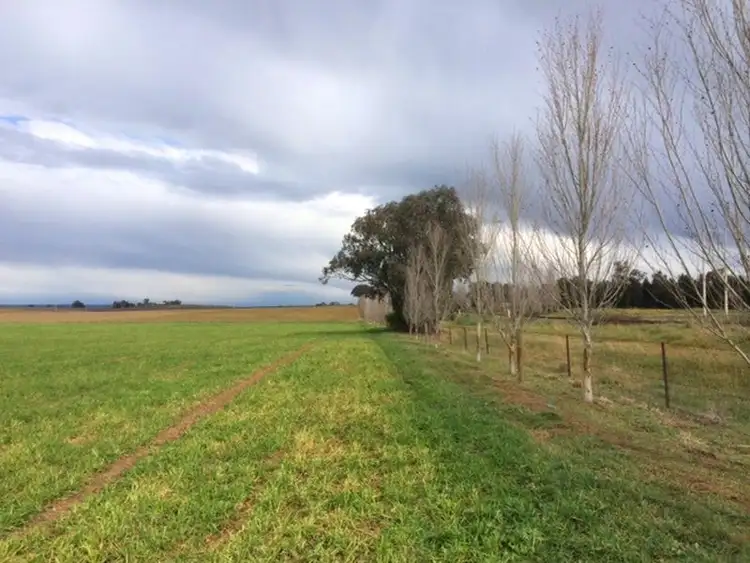 Fourth view of Homely rural property listing, Lot 2 Rothbury Road, Cowra NSW 2794