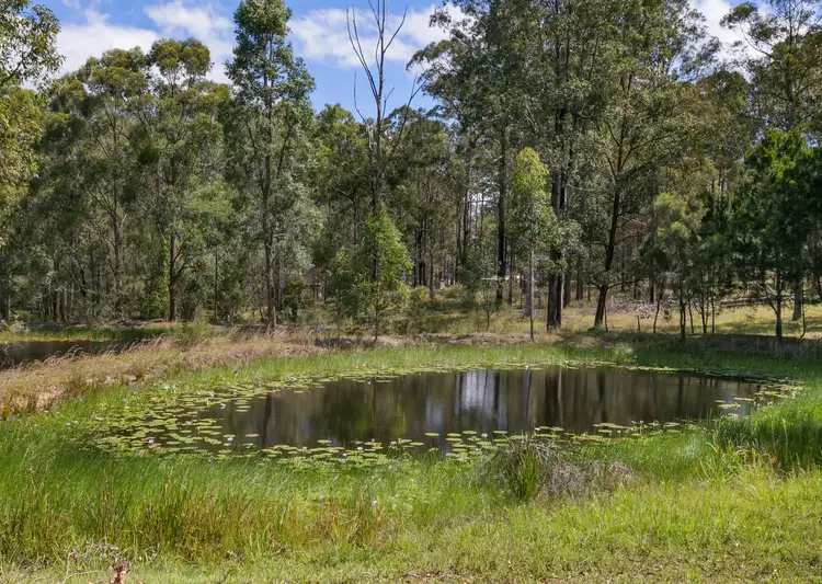 Fourth view of Homely rural property listing, 1026 Comboyne Road, Cedar Party NSW 2429