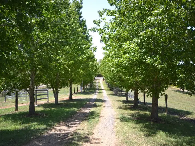 Second view of Homely acreage listing, Address available on request