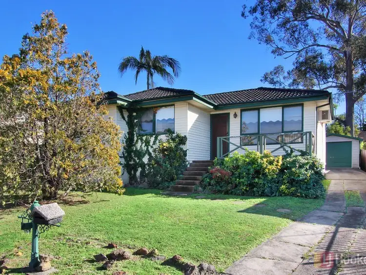 Main view of Homely house listing, 29 Dahlia Street, Greystanes NSW 2145