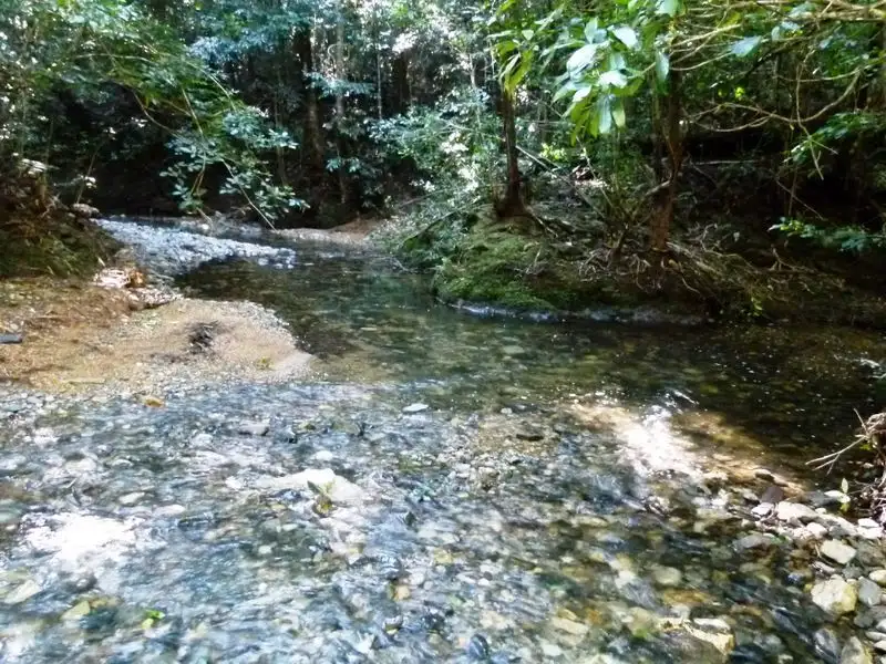 Main view of Homely land listing, Lot 1 Eve Creek Road, Brooklana NSW 2450