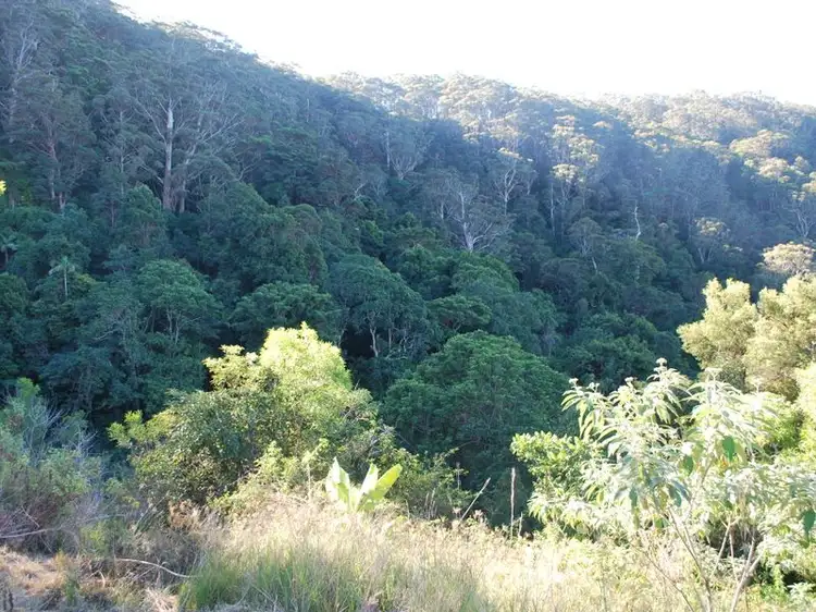 Fifth view of Homely land listing, Lot 4 89 Rippingale Road, Korora NSW 2450