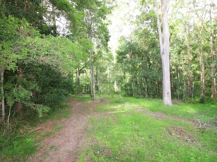 Seventh view of Homely rural property listing, 176 Hogans Road, Lansdowne NSW 2430